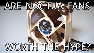 Noctua NFA8 FLX Review [upl. by Nirred]