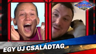 Egy Új Családtag  Exatlon Hungary All Star  4 Évad  31 Adás [upl. by Eachelle481]