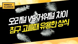 오리털 VS 거위털 알기 쉽게 정리해드리겠습니다 [upl. by Ruthy]