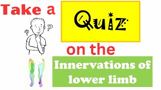 Quiz on innervations of the lower limb [upl. by Saito]