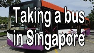 Taking a bus in Singapore [upl. by Ainavi]