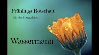 Frühlings Botschaft für das Sternzeichen Wassermann [upl. by Nylinnej960]