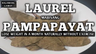 MABISANG PANGTUNAW CHOLESTEROL AT PAMPAPAYAT LAUREL BAY LEAF  LOSE WEIGHT WITHOUT EXERCISE [upl. by Pantia]