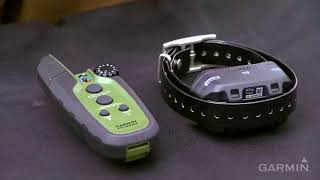 Garmin Sport PRO Dog Training Collar Product Overview [upl. by Lehcor]