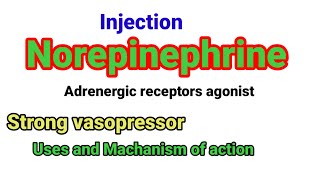 Norepinephrine uses and Machanism of action anaesthesiawithbabar2576 [upl. by Ellemrac643]