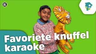 Favoriete knuffel 🧸 Karaoke  Kinderen voor Kinderen [upl. by Atneciv]