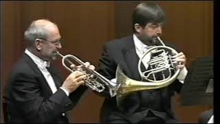 Art of Brass Vienna plays the 1st Movement of the Concerto for French Horn by G Ph Telemann [upl. by Zucker]