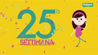 25° settimana di gravidanza [upl. by Enyawd]