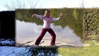 Tai Chi Qi Gong Shibashi set 2  Harmonie in 18 Figuren 2Satz [upl. by Gaillard]