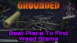 Grounded  Best Place To Get Weed Stems [upl. by Resneps]