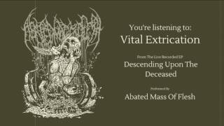 Abated Mass Of Flesh  Descending Upon The Deceased FULL EP STREAM [upl. by Jillana]