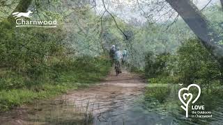 Love the outdoors in Charnwood  Dishley Pool Loughborough [upl. by Maretz]