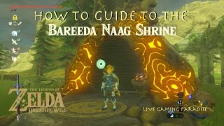 Breath of the Wild  Bareeda Naag Shrine Guide and Location [upl. by Ever]