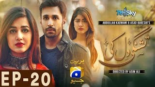 Tishnagi Dil Ki  Episode 20  Har Pal Geo [upl. by Materse]