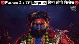 इस Surprise के बिना Release होगी Pushpa 2 Movie  Pushpa 2 Movie Latest Update  Pushpa 2 Trailer 🔥 [upl. by Duston]