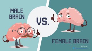 Male Brain vs Female Brain What is the Big Difference [upl. by Lorrad799]