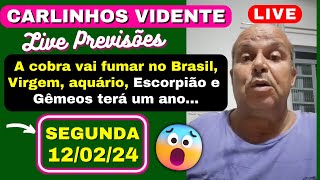 CARLINHOS VIDENTE PREVISÕES SEGUNDA 120224 A COBRA VAI FUMAR NO BRASIL 🇧🇷 🔥 [upl. by Virgina]