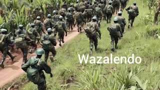 RUTSHURU WAZALENDO KWENYE ROUTE TONGO KARIBU BWIZA WANAPIGANA NA SALAMBWE [upl. by Wexler542]