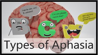 Aphasia Types Mnemonic [upl. by Sukramed]