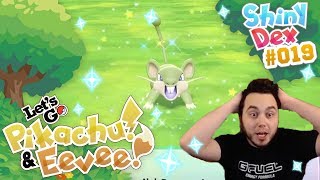 AGGRESSIVE SHINY RATTATA in POKÉMON LETS GO PIKACHU AND EEVEE [upl. by Hut992]