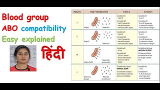 Blood group ABO system in hindi  ABO incompatibility  transfusion reaction  ABO compatibility [upl. by Mano234]