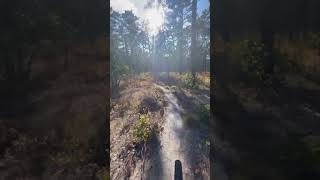 Biking in Wharton state forest [upl. by Ttirrej]