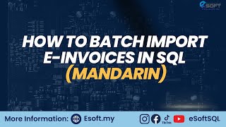 BATCH IMPORT E INVOICE MANDARIN [upl. by Nimar]