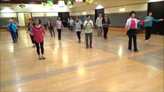 Rose Colored Glasses Line Dance Choreographed by Shirley Blankenship [upl. by Eimmis33]