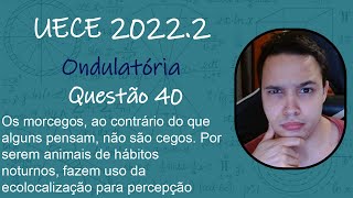 UECE 2022  Os morcegos ao contrário do que alguns pensam não são cegos Por serem animais de [upl. by Lisabet716]