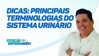 Dicas de Enfermagem  Principais Terminologias do Sistema Urinário [upl. by Aronle]