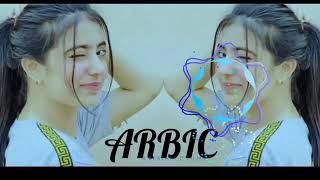 New Arabic Remix  Bass Boosted ریمیکس 2024   SlowedReverb Arabic Music 2024 [upl. by Adnawed]