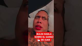 EL PEJE GORDO 🐠 HABLA DE GANSOS 🦢 DE JUAN bulin47 [upl. by Krik]