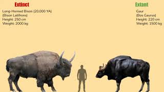 ANIMALS  Extinct vs Extant Animals Size Comparison Unmix 1 [upl. by Gnaht]