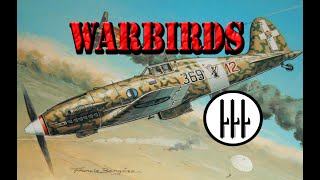 Warbirds Macchi C202 Folgore [upl. by Aubreir]