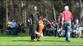 Oefendag PHV De Boskant Bergeijk [upl. by Horvitz535]