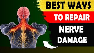 Top 10 Natural Ways to Repair Nerve Damage [upl. by Nauh]