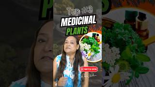 Top 3 Medicinal Plants for Your Health amp Wellness [upl. by Ahsienyt]