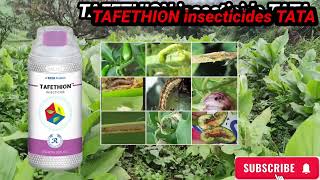 Tafethion insecticide TATA Ethion 50� [upl. by Nirot]