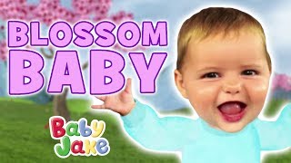 Baby Jake  Blossom Baby  Full Episodes [upl. by Odnalo]