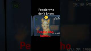 Smile dog реком рек funny хочуврек memes хочувреки [upl. by Iluj898]