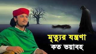 মৃত্যুর যন্ত্রণা কত ভয়াবহ । Qari Shamim Reza waz 2024 [upl. by Julianna99]