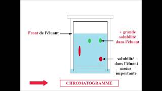 CHROMATOGRAPHIE sur couche mince  VOCABULAIRE [upl. by Delly]