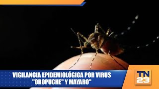 Vigilancia epidemiológica por virus quotOropuchequot y Mayaroquot [upl. by Burkhart]