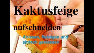 Kaktusfeigen ernten und aufschneiden und essen [upl. by Eecyal]