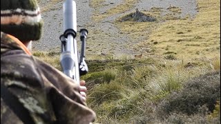 Weekend Warriors  Stag Hunt turned into a Meat Hunt South Island Hunting New Zealand [upl. by Gallagher]