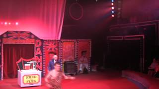 Circus Hilarious  Hippodrome Circus  Fred The Fl [upl. by Gowon93]