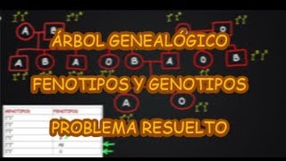 PROBLEMA de GENÉTICA RESUELTO Genotipos a partir de Fenotipos en Genealogía Grupo Sanguíneo AB0 [upl. by Danella]