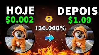 DOG GO TO THE MOON A BOMBA DE 500 BILHÕES PODE LEVAR A LUA ESSA MEMECOIN [upl. by Norse]