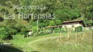 Mucuposada Las Hortensias en La Coromoto Canagua Mérida Venezuela [upl. by Marchelle]