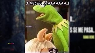 La Rana Rene y sus memes mas graciosas  2015 [upl. by Asirap]